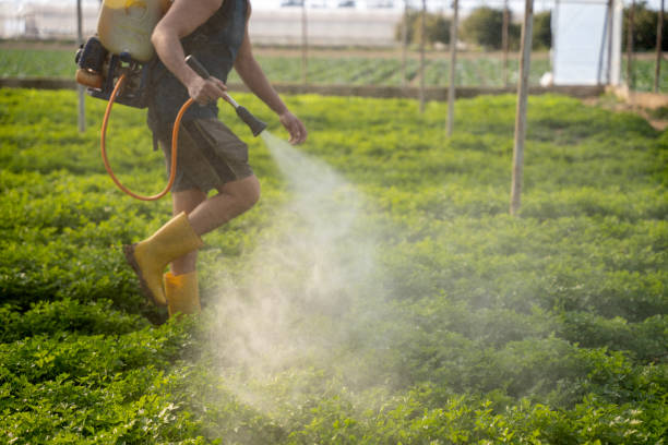 Best Pest Control Treatment  in Crosspointe, VA