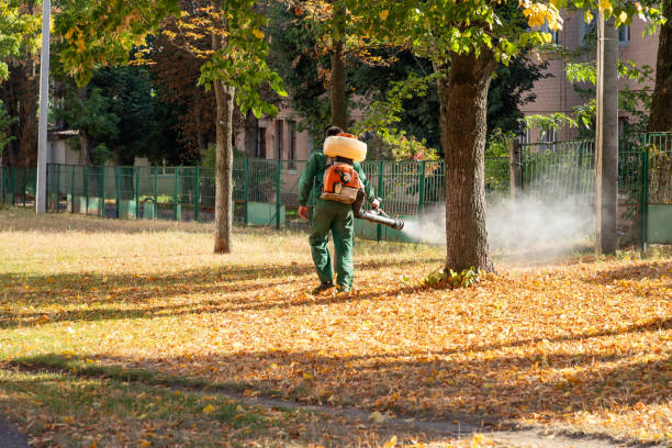 Best Pest Control Near Me in Crosspointe, VA