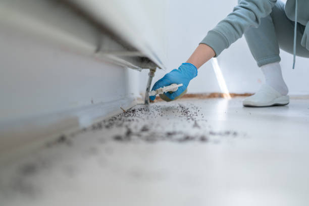 Best Wildlife Control Services  in Crosspointe, VA